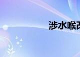 涉水喉改装（涉水喉）