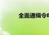 全面通缉令电影（通缉令电影）