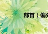 部首（偏旁和部首的区别）